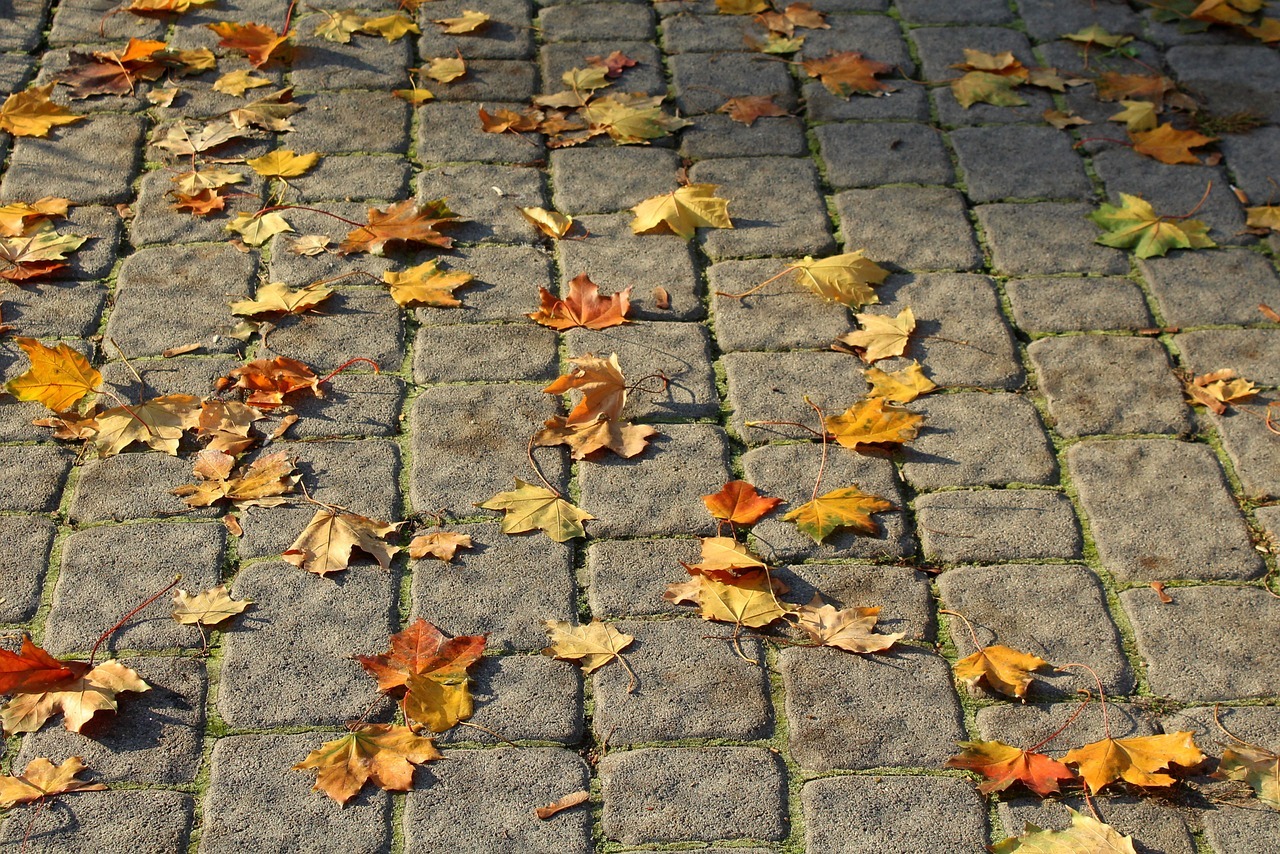 How to Remove Leaf Stains from Pavers Best Pro Landscape