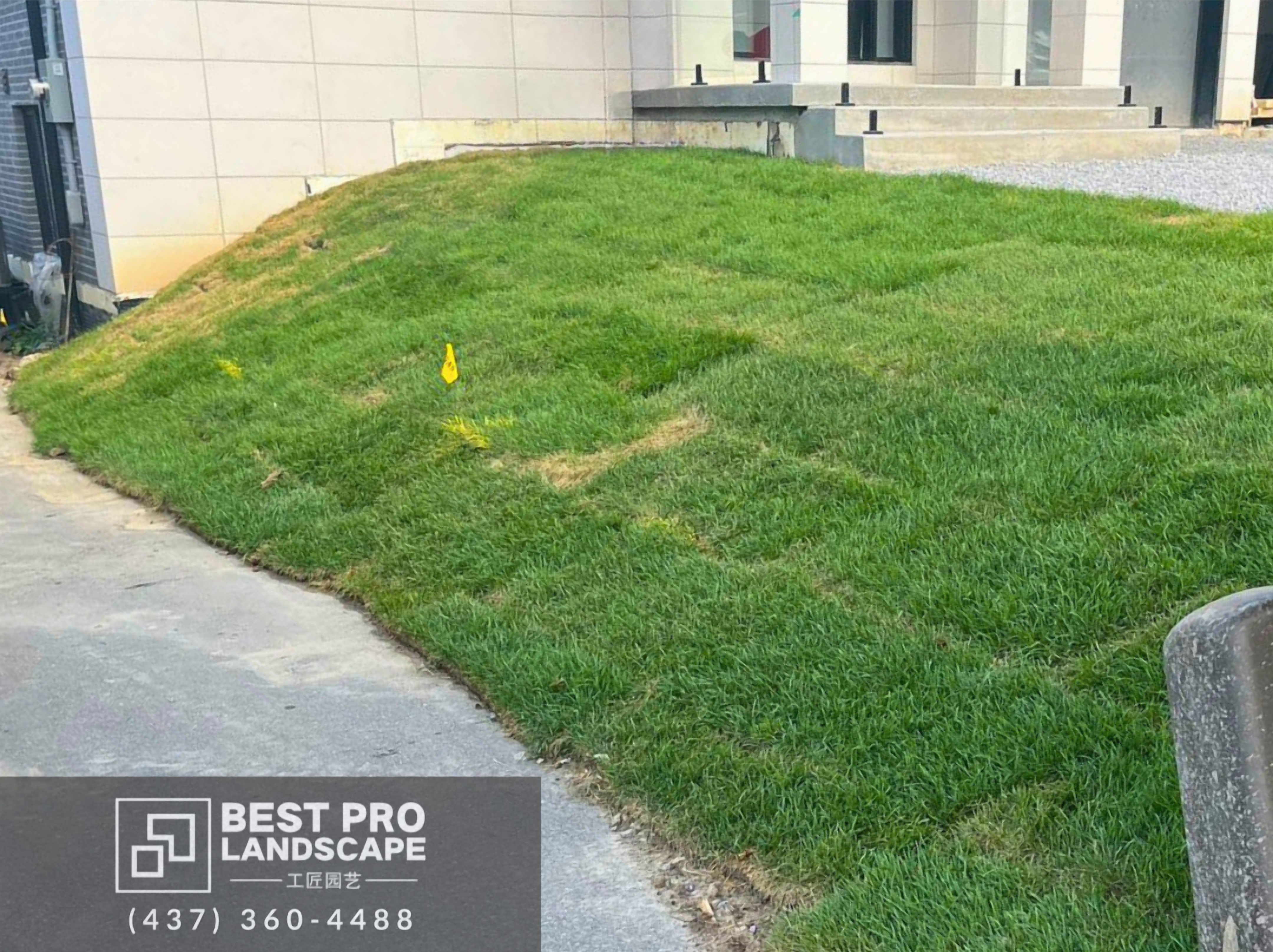 Real-Grass-installation